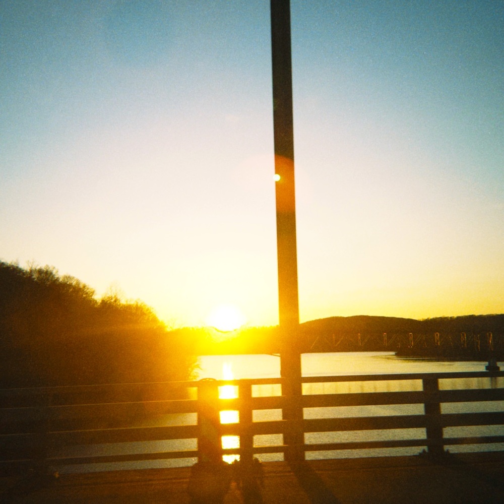 Meet your Posher, Isabella